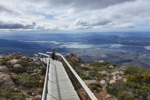 Från Hobart: Mt Wellington Pinnacle 2 timmars tur i liten grupp