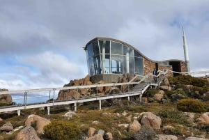 Från Hobart: Mt Wellington Pinnacle 2 timmars tur i liten grupp