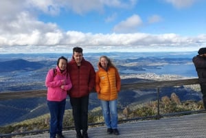 Från Hobart: Mt Wellington Pinnacle 2 timmars tur i liten grupp