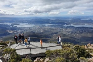 Från Hobart: Mt Wellington Pinnacle 2 timmars tur i liten grupp