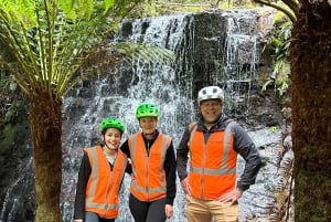 From Hobart: Mt Wellington Summit & Rainforest Bike Tour