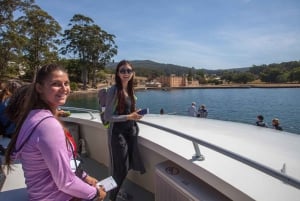 De Hobart: Excursão de um dia a Port Arthur e Tasmanian Devil Unzoo