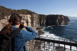 Z Hobart: Port Artur, Richmond i wycieczka z diabłem tasmańskim