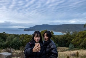 Z Hobart: Port Artur, Richmond i wycieczka z diabłem tasmańskim