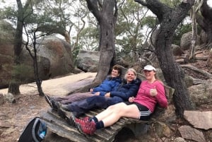 From Hobart: The Ultimate 10-Day Tour of Tasmania's Regions