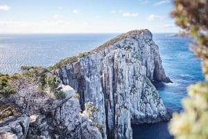 From Hobart: Three Capes Walking Tour - 4 Days