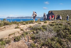 From Hobart: Three Capes Walking Tour - 4 Days