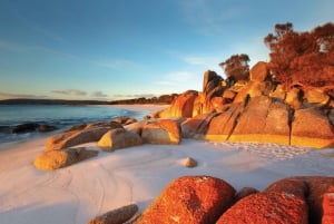 From Launceston: 4 day, 3 nights Bay of Fires Walking Tour