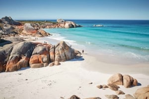 From Launceston: Bay of Fires Off-Peak Hiking 3-Day Tour