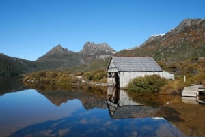 Launceston: Dagsutflykt med vandring i Cradle Mountain National Park