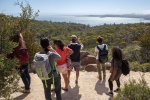 From Launceston: Full-Day Wineglass Bay Explorer Active Tour