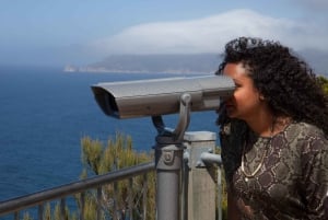 From Launceston: Full-Day Wineglass Bay Explorer Active Tour