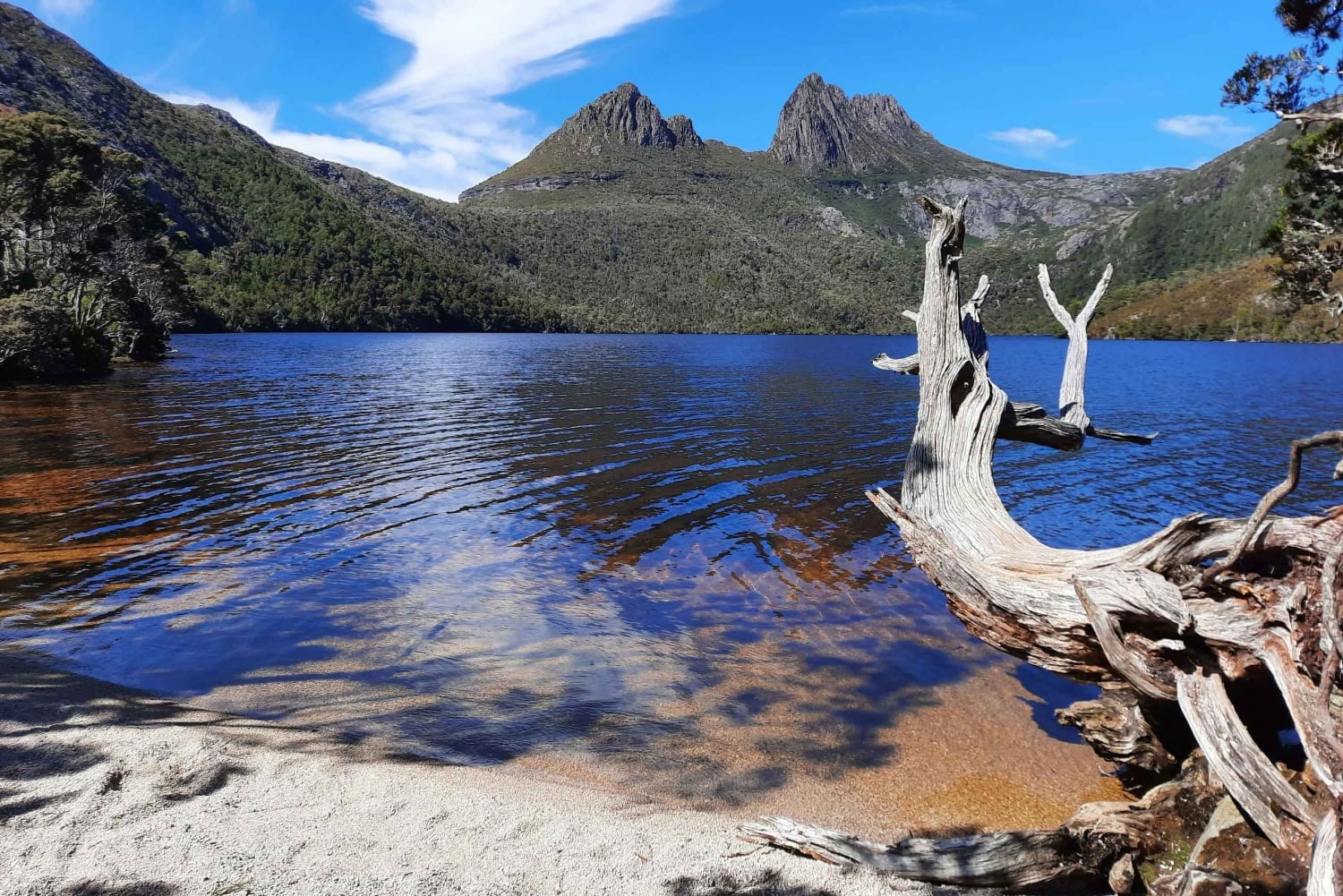 From Launceston: Sheffield Murals & Cradle Mountain Day Tour