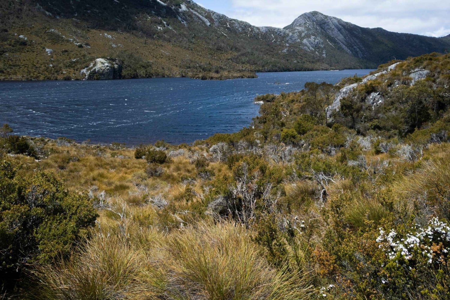 From Launceston: Sheffield Murals & Cradle Mountain Day Tour