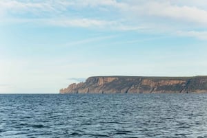 De Port Arthur: croisière dans la nature sauvage de l'île de Tasman