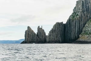 Van Port Arthur: Tasman Island Wilderness Cruise