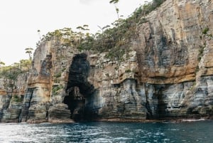 Da Port Arthur: crociera nella natura selvaggia dell'isola di Tasman