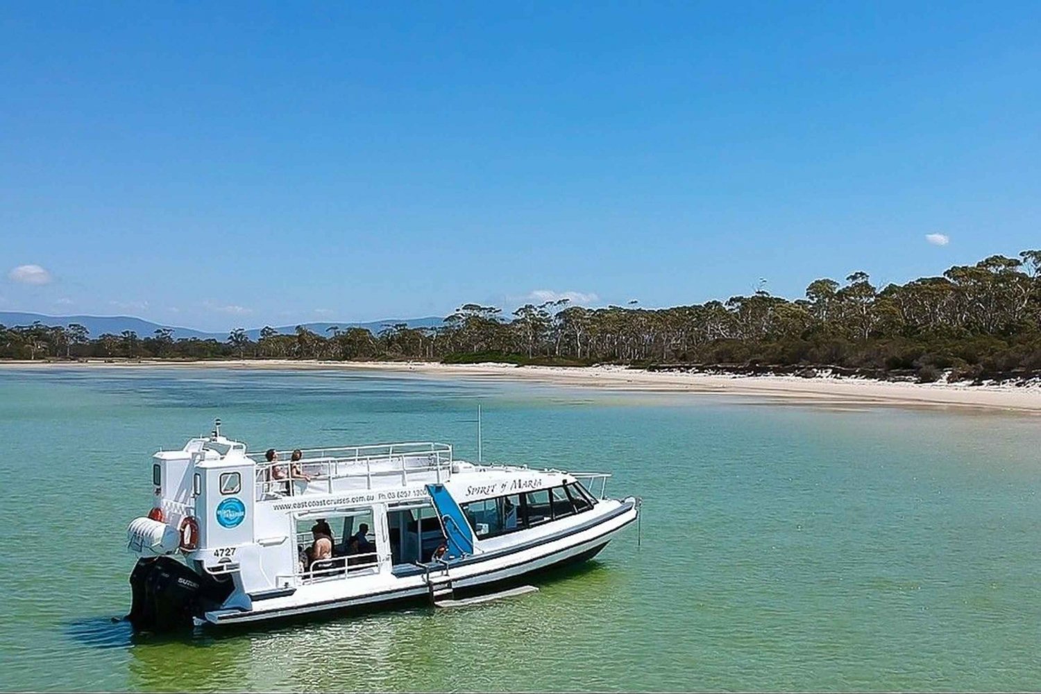 From Triabunna: Maria Island Cruise & Guided Walk with Lunch