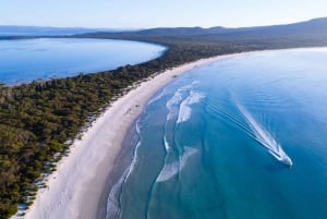 From Triabunna: Maria Island Cruise & Guided Walk with Lunch