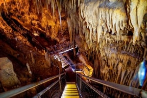 Hobart : Hastings Cave, Tahune Airwalk et Huon Tasting Trail