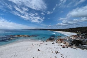 Tasmania: 5-Day Highlights Tour with Cradle Mountain