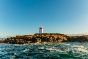 Hobart: 2.5-hour Iron Pot Lighthouse Cruise