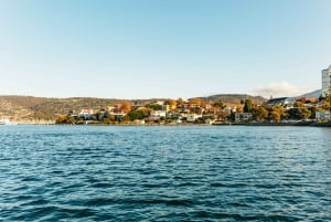 Hobart: 2,5-timers Iron Pot Lighthouse Cruise