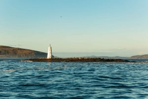 Hobart: 2.5-hour Iron Pot Lighthouse Cruise