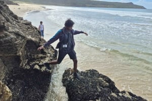 Hobart: 2-dagars resa till Bruny Island och Port Arthur med djävlar