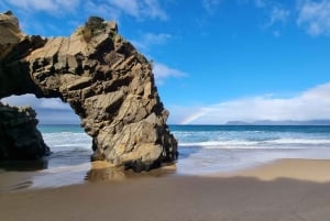 Hobart: 2-dagars resa till Bruny Island och Port Arthur med djävlar