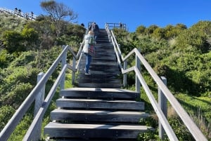 Hobart: 2-dagars resa till Bruny Island och Port Arthur med djävlar