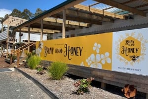 Hobart: 2-dagars resa till Bruny Island och Port Arthur med djävlar