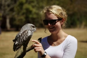 Hobart: 2-dagars resa till Bruny Island och Port Arthur med djävlar