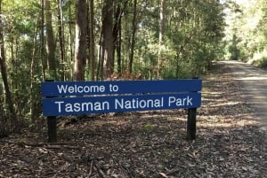 Hobart: 2-dagars resa till Bruny Island och Port Arthur med djävlar