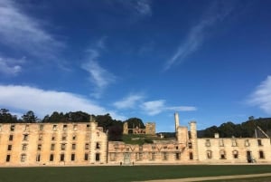 Hobart: 2-dagars resa till Bruny Island och Port Arthur med djävlar