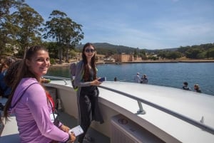 Hobart: 2-dagars resa till Bruny Island och Port Arthur med djävlar