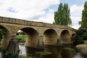 Hobart: 2-dagars resa till Bruny Island och Port Arthur med djävlar