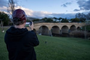 Hobart: 2-dagars resa till Bruny Island och Port Arthur med djävlar