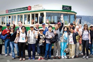 Hobart: 3-Hour City Sightseeing Tour by Tram