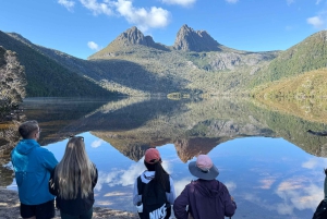 Hobart: 4 päivän villi Tasmania-kiertue