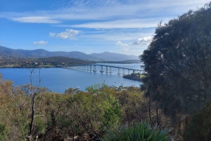 Bus per le attrazioni di Hobart: HOBART SHORE EXCURSION