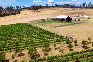 Hobart: Best of Tasmanian Wine Day Tour with Drink Tasmania