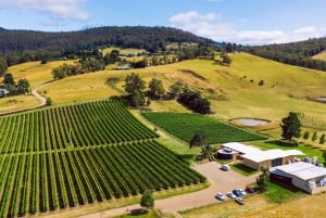 Hobart: Top Tasmanian Wineries Day Tour maisteluineen.