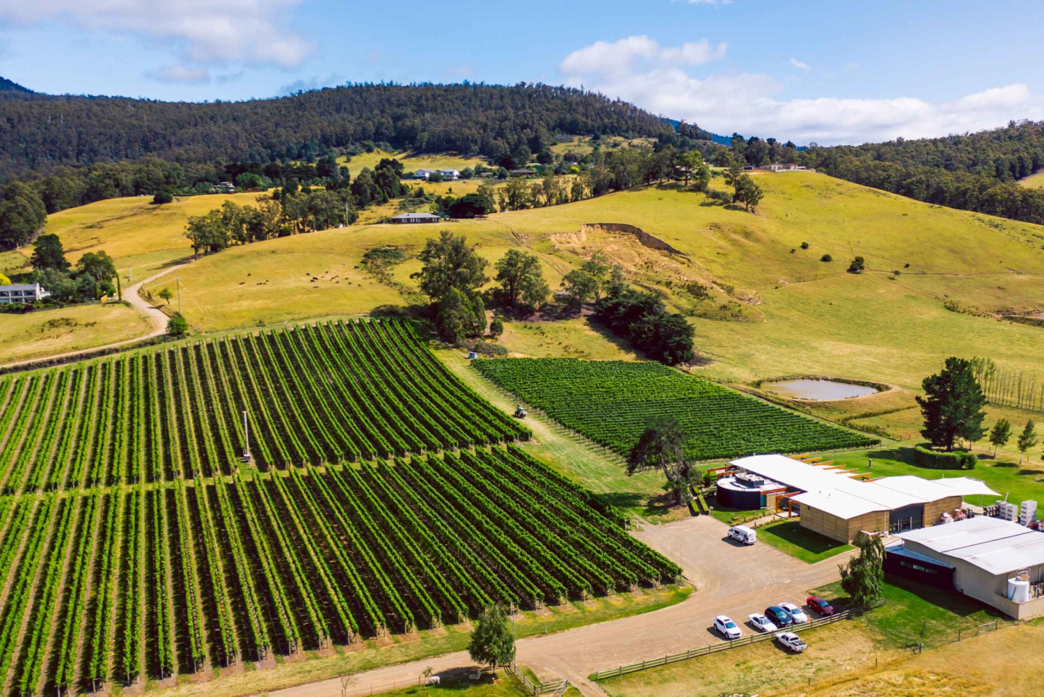 Hobart: Best of Tasmanian Wine Day Tour