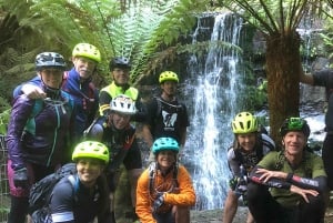 Hobartista: Wellington ja Rainforest Trail -pyöräretki