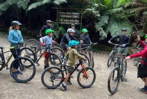 Desde Hobart Excursión en Bicicleta por el Monte Wellington y la Ruta de la Selva Tropical