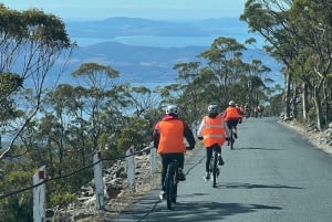 Fra Hobart: Cykeltur til Mt. Wellington og regnskovsstien