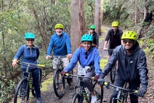 Hobartista: Wellington ja Rainforest Trail -pyöräretki