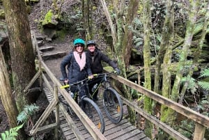 From Hobart: Mt. Wellington and Rainforest Trail Bike Tour