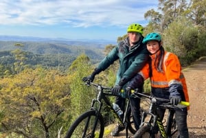Da Hobart: Tour in bicicletta del Monte Wellington e della foresta pluviale